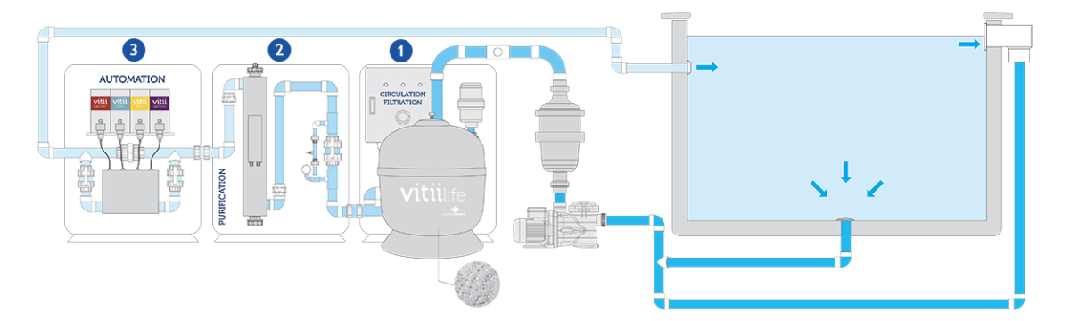 Vitii-schema